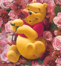 pooh.jpg